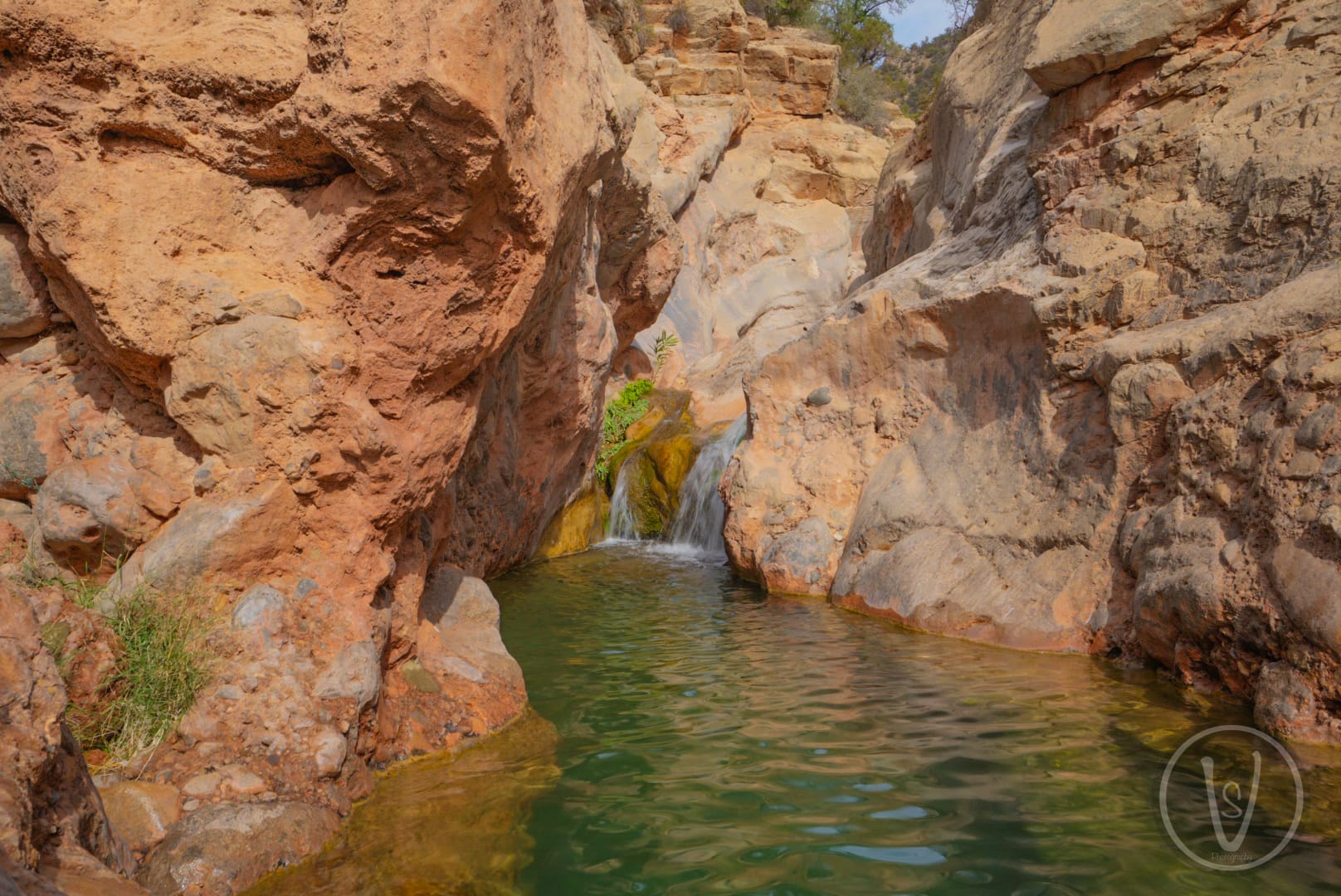 Paradise Valley Agadir natural pools and palm trees
